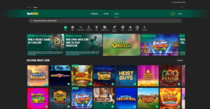 Bet365 Casino Terms Explained