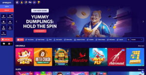 Evospin-Casino-General-Terms-Explained