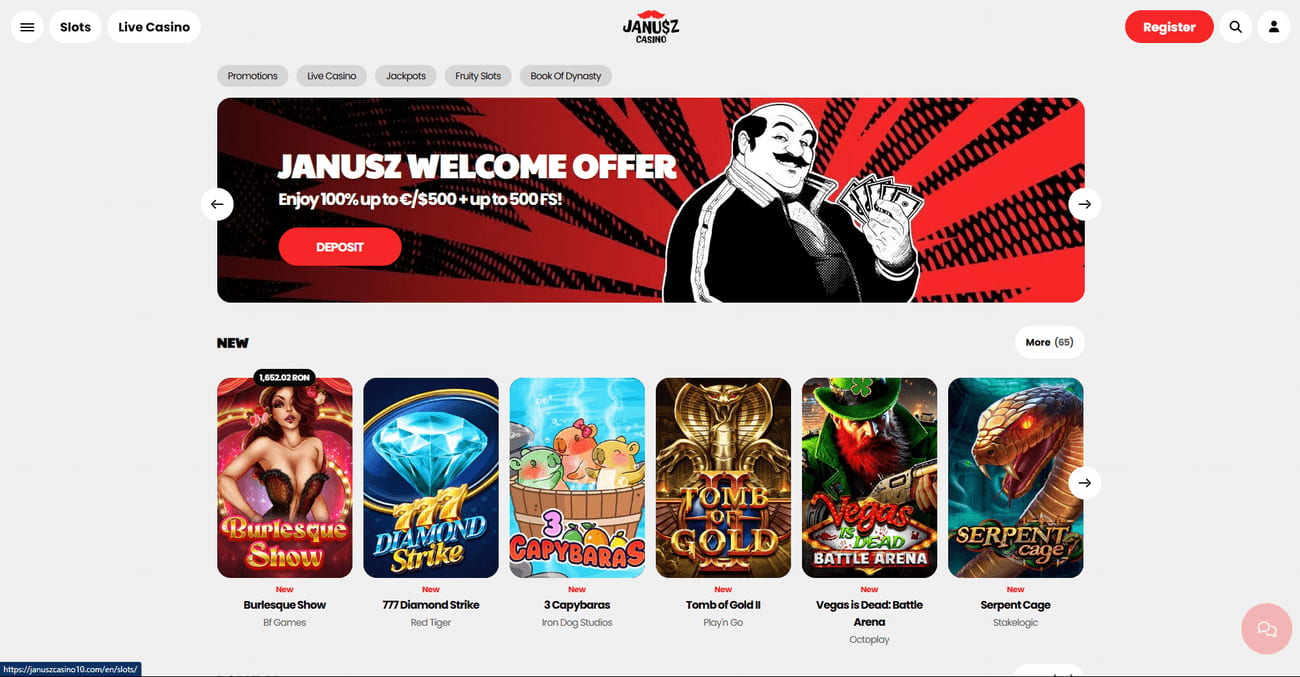 Janusz Casino Terms Explained
